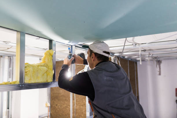 Best Garage Insulation Installation  in Pinetop Country Clu, AZ