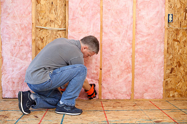 Best Soundproof Insulation Installation  in Pinetop Country Clu, AZ